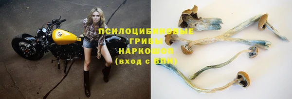 мдпв Покров