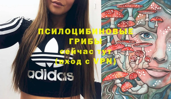 меф Пересвет