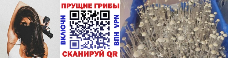 Галлюциногенные грибы Cubensis  нарко площадка формула  Ряжск 